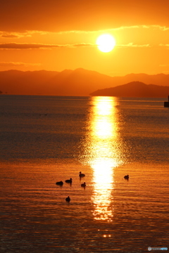 夕日を浴びて