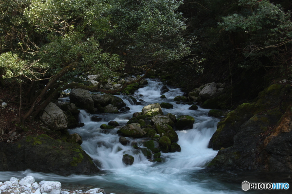 芹川の清流