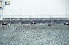 ４