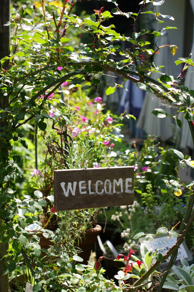WELCOME