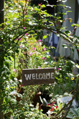 WELCOME