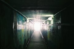 光を目指して