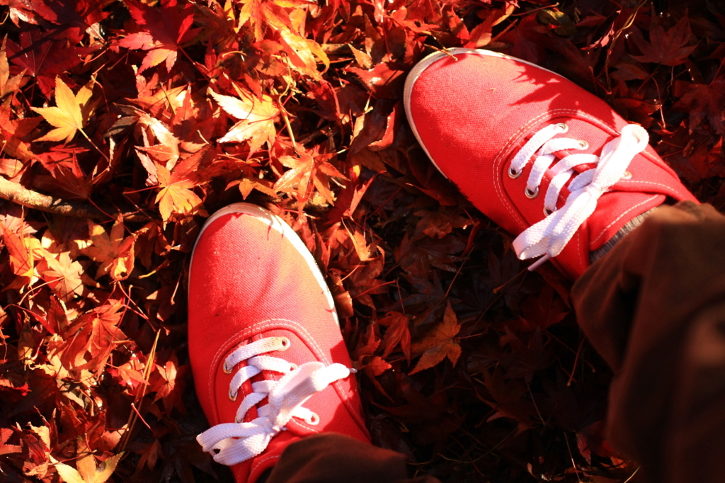 紅を踏む