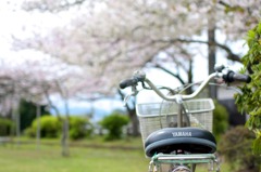 君と来たよ