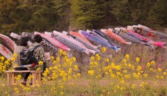恋(鯉)が止まらない
