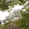 郡上城