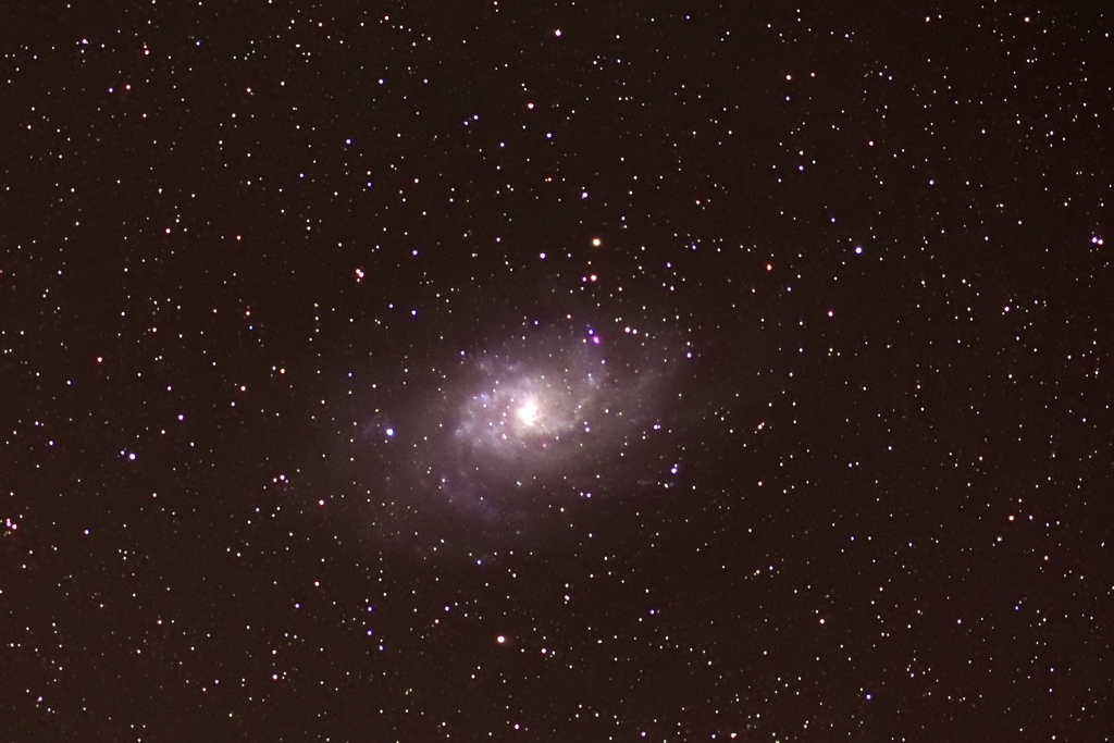M33