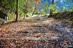 旧福知山線廃線編　晩秋