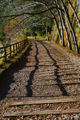 まるで線路があるような　旧福知山線廃線編