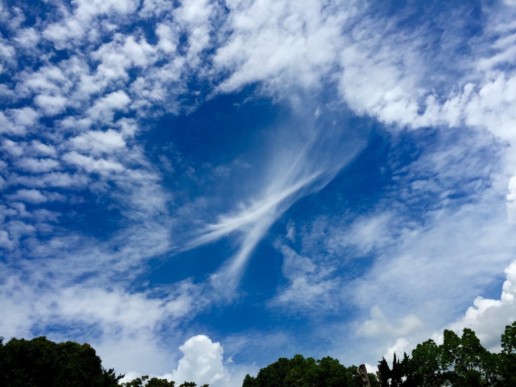 X雲