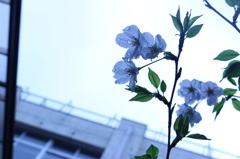 雨上がり