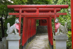非現実。