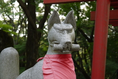 狐達