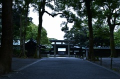 鎮守の森