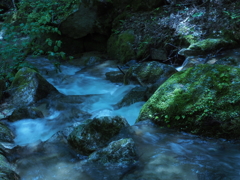 涼流
