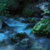 涼流