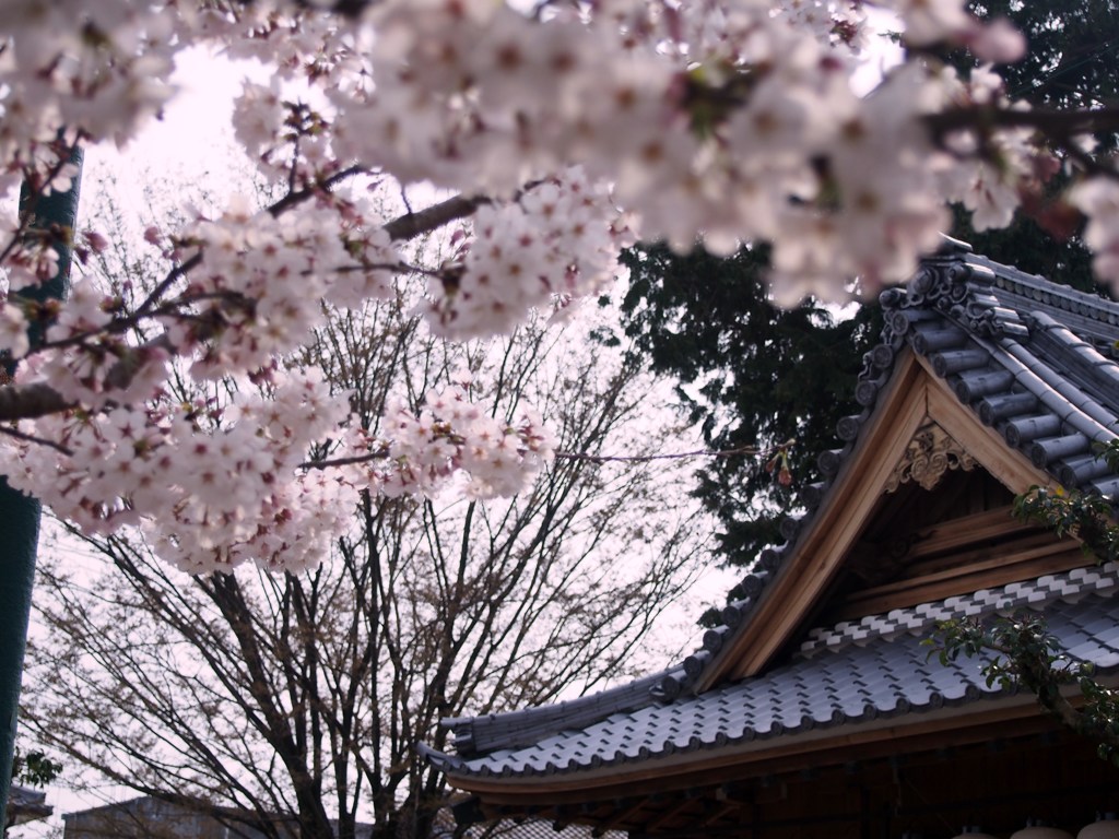 犬山市針綱神社