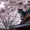 犬山市針綱神社