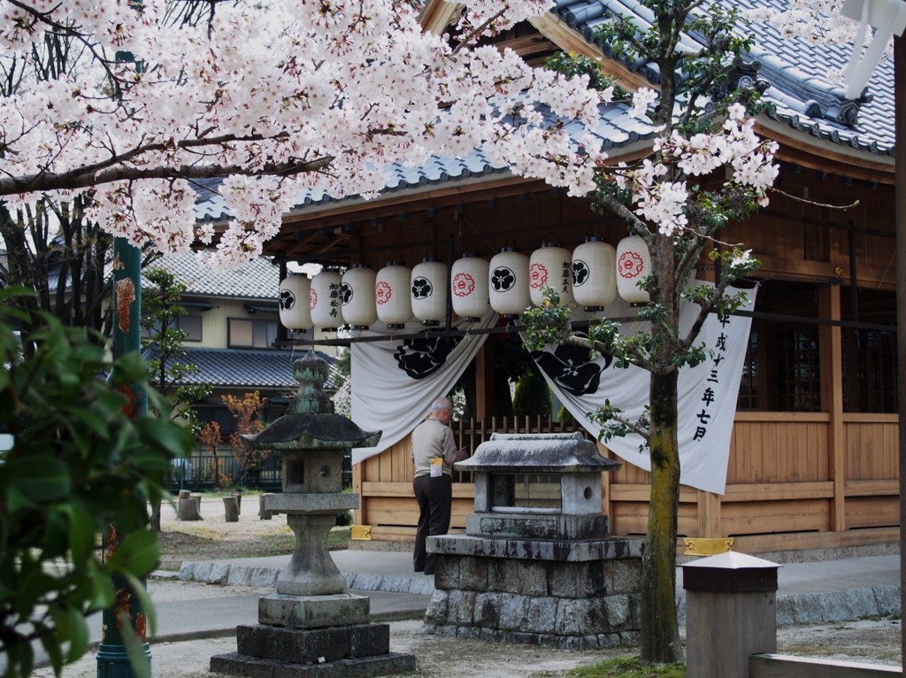 桜の季節に願いを込めて