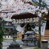 桜の季節に願いを込めて