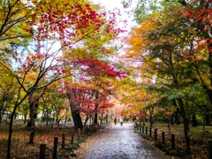 新座市  平林寺より2016秋3