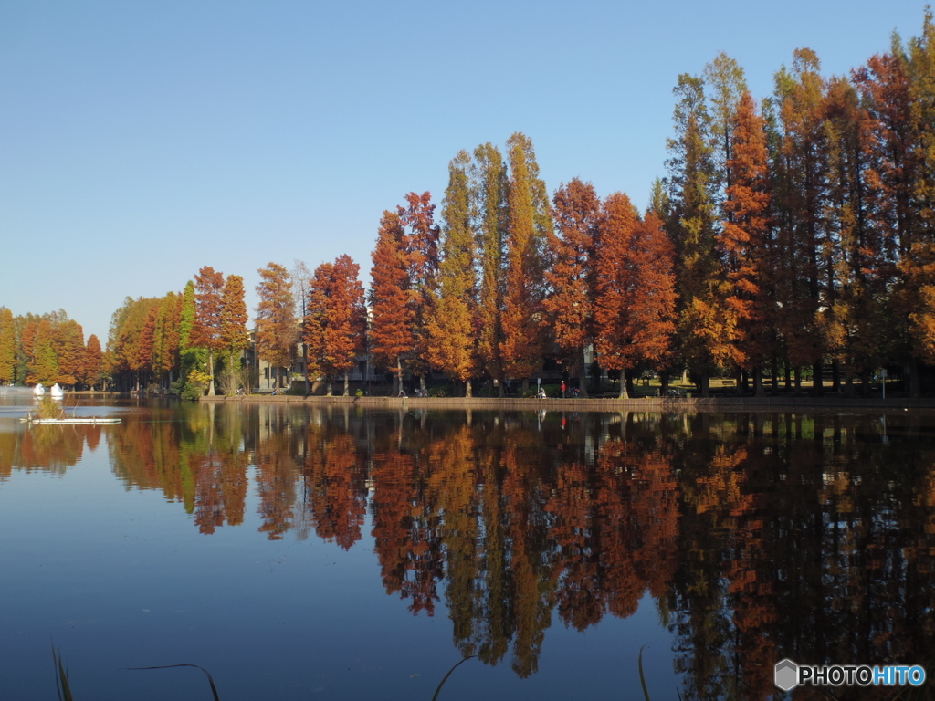 中浦和　別所沼公園３