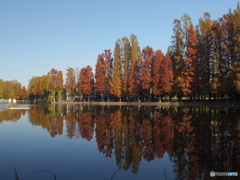中浦和　別所沼公園３