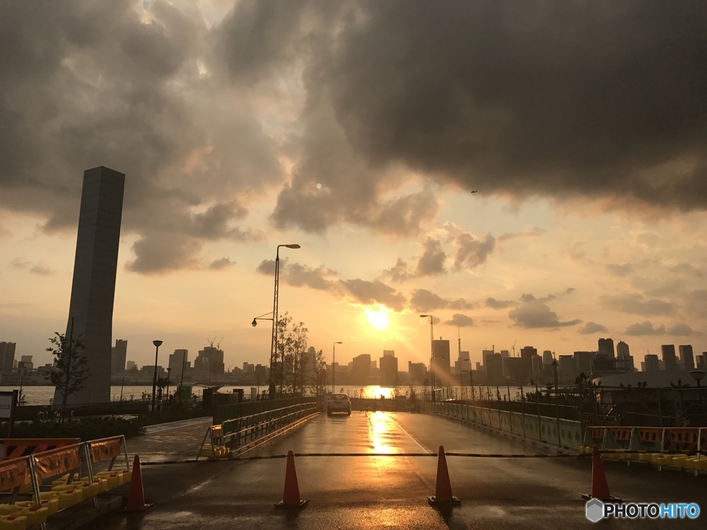 豊洲市場より