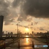 豊洲市場より