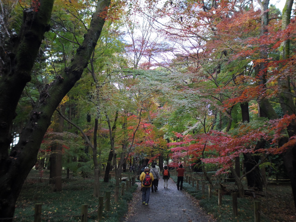 新座市  平林寺より2016秋1