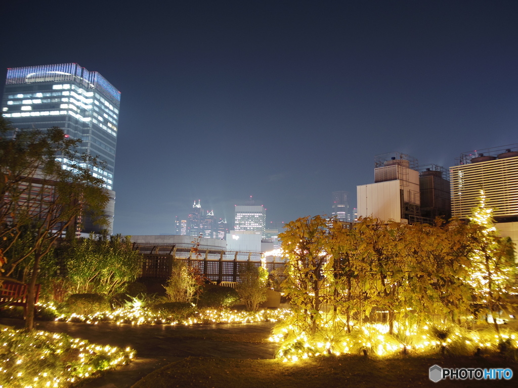 新宿マルイ本館　屋上庭園８