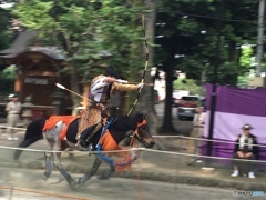 府中　大國魂神社流鏑馬１