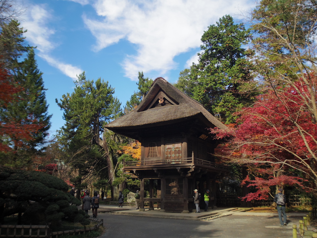 新座市  平林寺より2016秋6