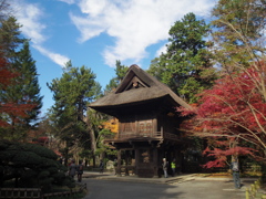 新座市  平林寺より2016秋6