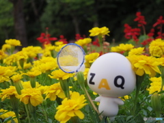 ざっくぅサマーメモリー1