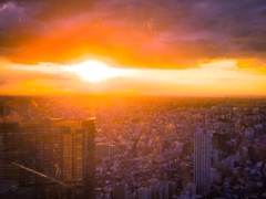 新宿の夕陽