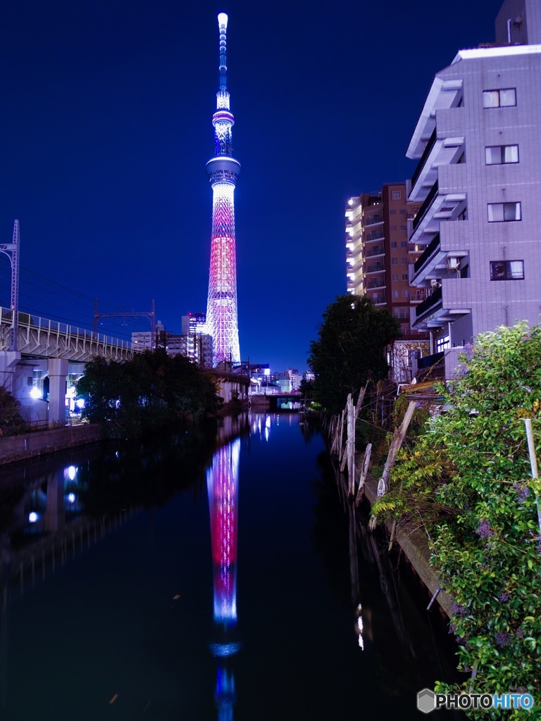 冬のスカイツリー