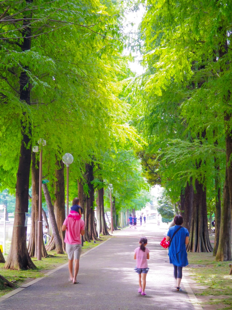 公園にて