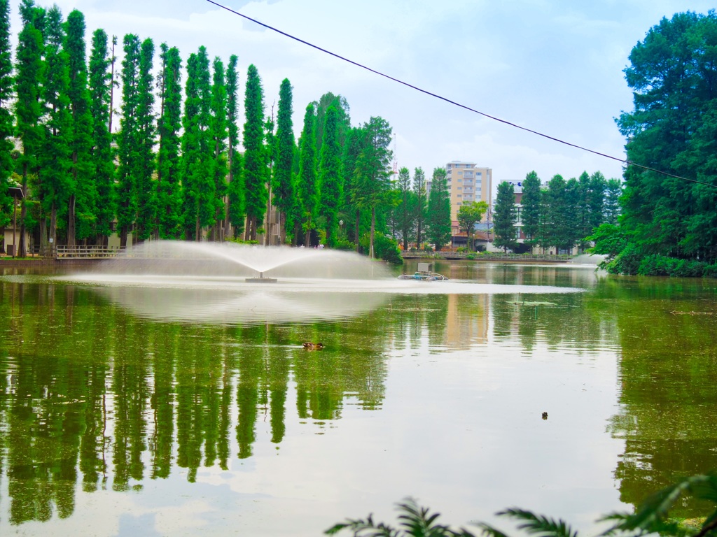 公園の噴水