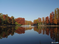 中浦和　別所沼公園