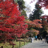 新座市  平林寺より2016秋4