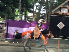府中　大國魂神社流鏑馬２