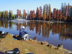 中浦和　別所沼公園４