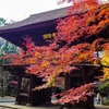 新座市  平林寺より2016秋7