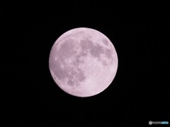 満月の夜