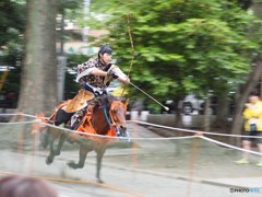 府中　大國魂神社流鏑馬８