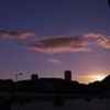 上野の夕陽