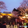 上野公園桜まつり７