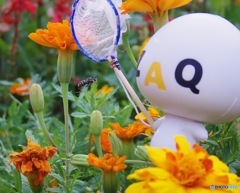 ざっくぅサマーメモリー3