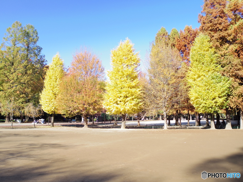 中浦和　別所沼公園６